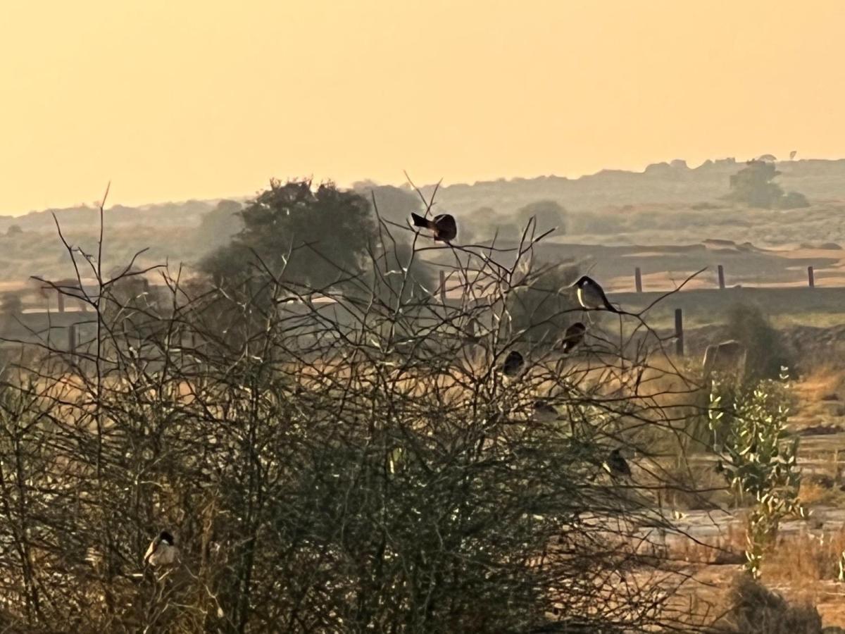 Golden Villa Jaisalmer Bagian luar foto
